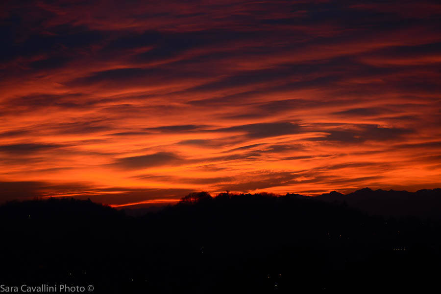 Regalo di Natale da parte della natura