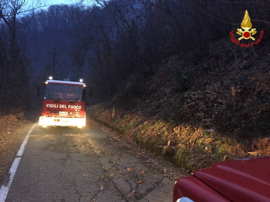 Brucia il bosco di Avigno