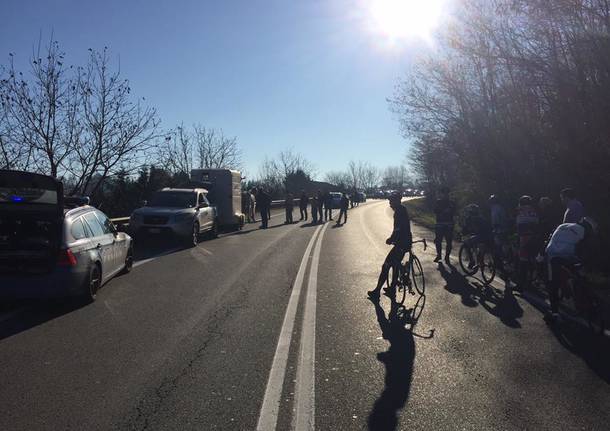 Cavalli in fuga bloccano la SP1