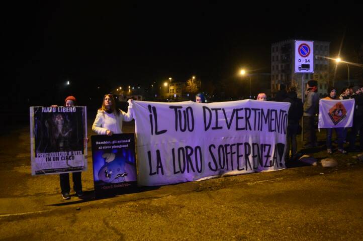 DSC 7430