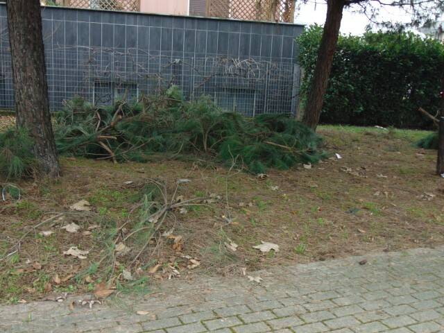 DSC02361