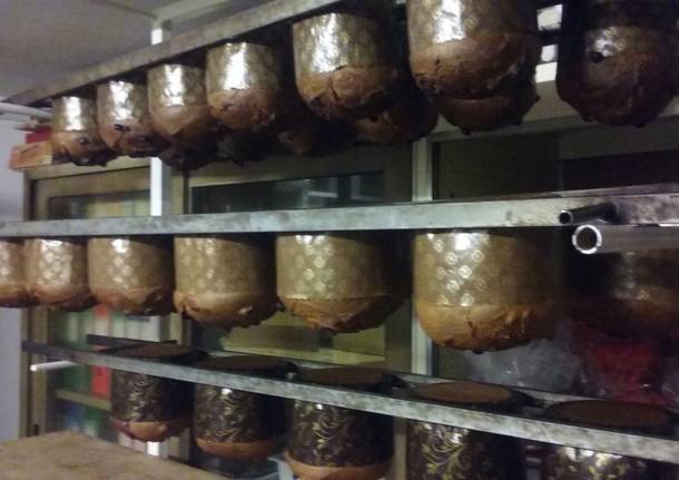 Ecco come nasce un panettone artigianale 