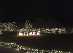 La casa di Natale nel bosco