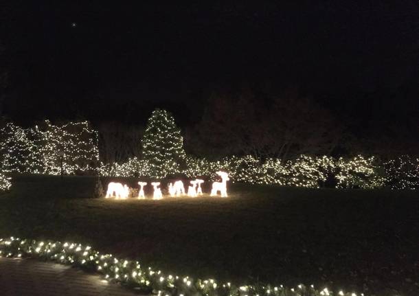 La casa di Natale nel bosco
