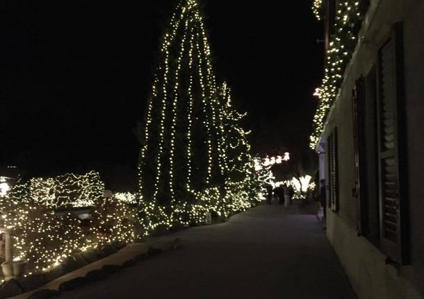 La casa di Natale nel bosco