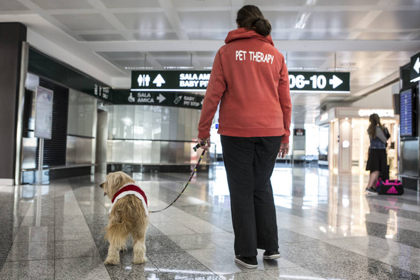La Pet Therapy sbarca a Malpensa