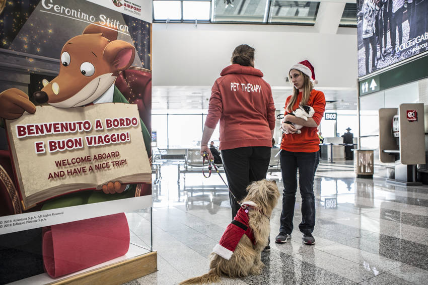 La Pet Therapy sbarca a Malpensa