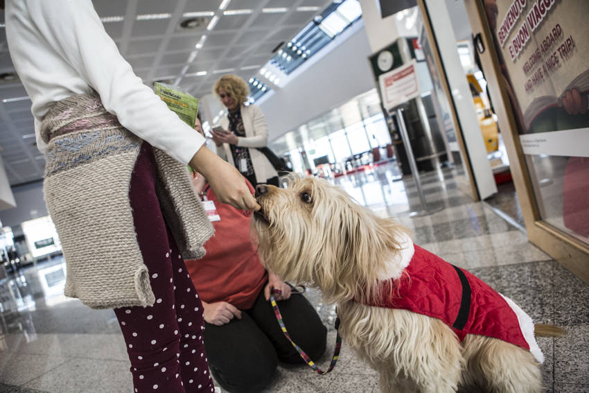 La Pet Therapy sbarca a Malpensa