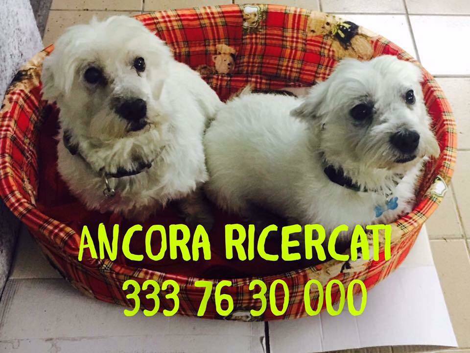 Lillo e Lilli