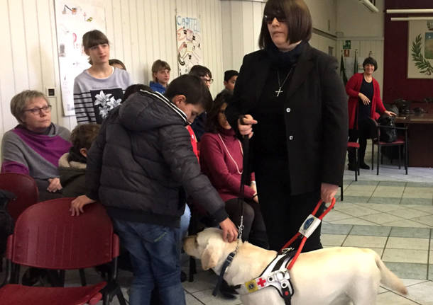 Giornata della disabilità 2016 a Malnate