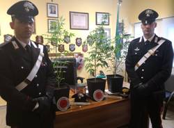 marijuana carabinieri castellanza