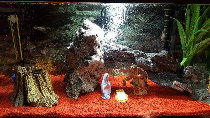 presepe