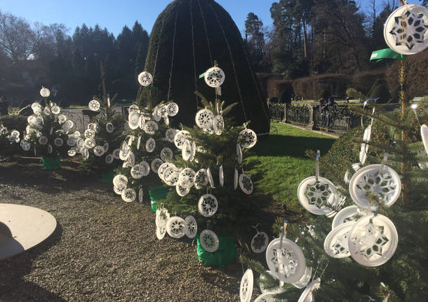 Tanti alberi di natale per l'ospedale dei bambini