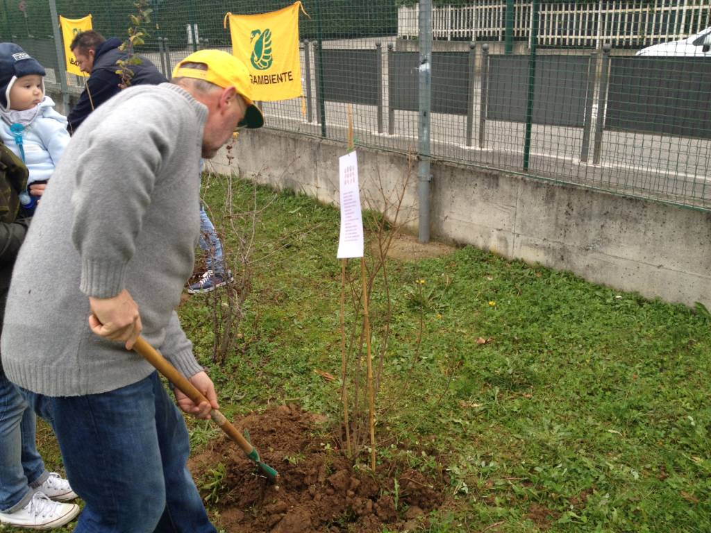 Un albero per ogni neonato