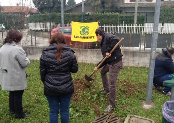 Un albero per ogni neonato