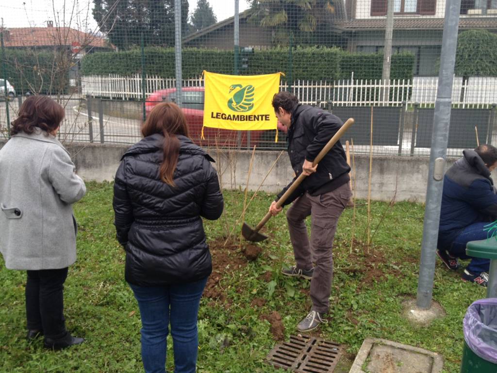 Un albero per ogni neonato