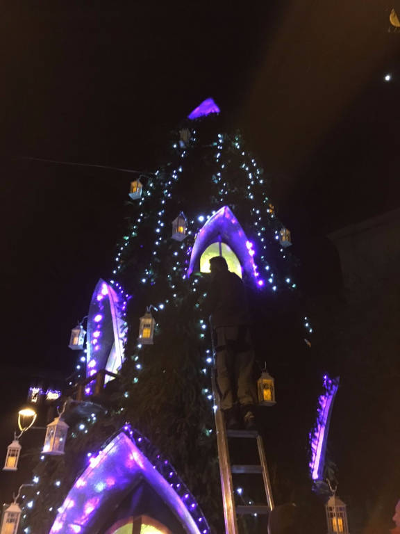 Un super albero a Travedona Monate