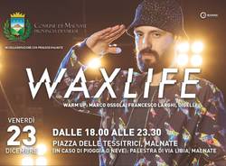 waxlife