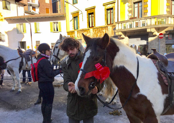 La benedizione degli animali per Sant’Antonio