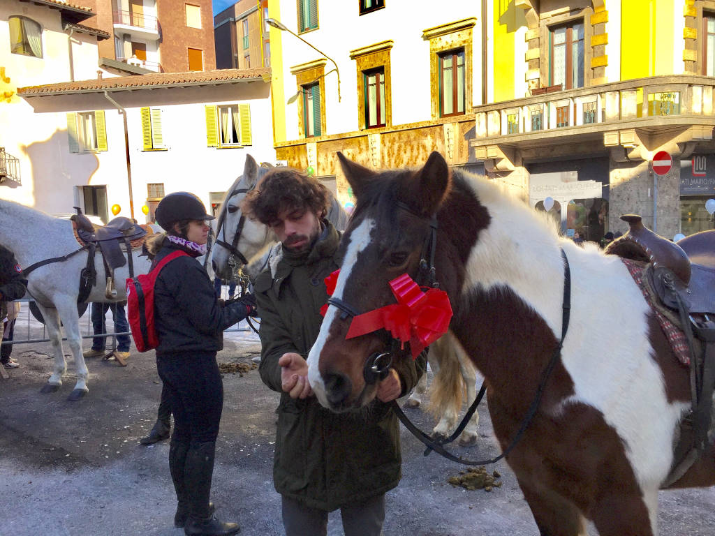 benedizione degli animali 2017 sant'Antonio