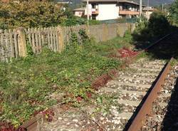 Bisuschio - stazione autunno 2016