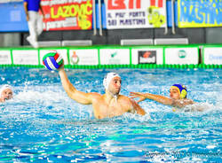 bpm sport management stefano luongo