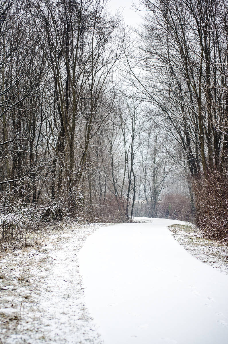 Nelle valli sotto la neve