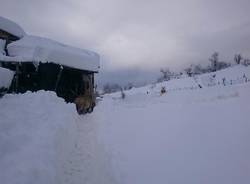 La Protezione Civile di Malnate in Abruzzo