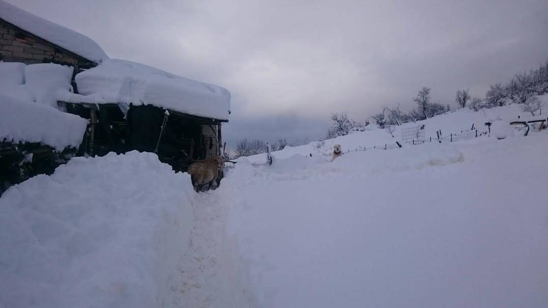 La Protezione Civile di Malnate in Abruzzo