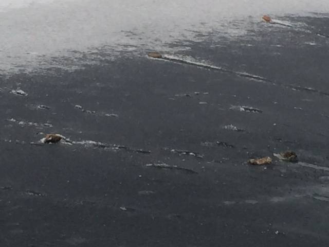 Il lago ghiacciato è pronto per il battesimo ortodosso