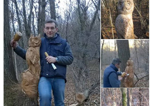 Il gufo nel bosco di Cerro di Caldana