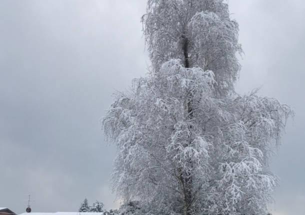 prima neve 2017