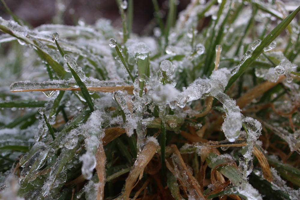 gelicidio ghiaccio freddo