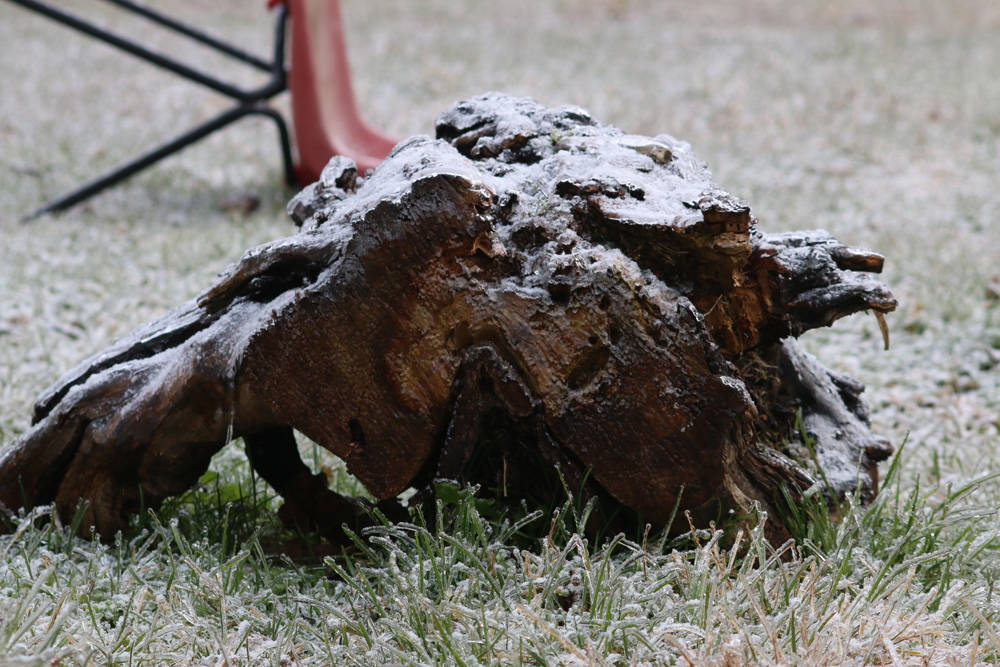 gelicidio ghiaccio freddo