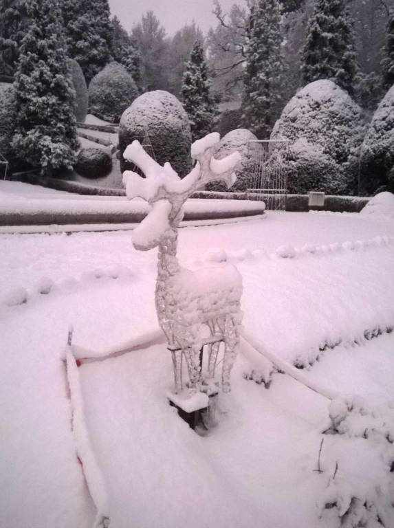 Giardini Estensi sotto la neve