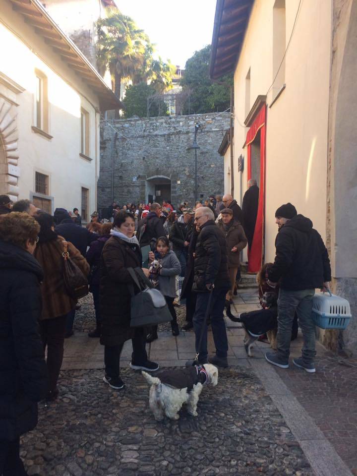 La festa di Sant'Antonio a Besozzo 