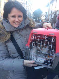 La festa di Sant'Antonio a Besozzo 