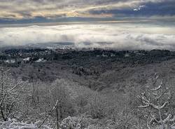 La neve dei lettori 13 gennaio 2017