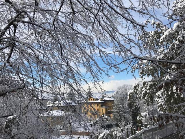La neve dei lettori 13 gennaio 2017