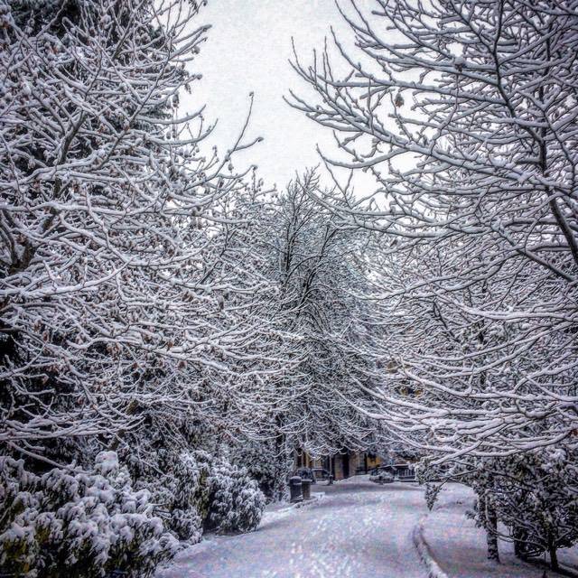 La neve dei lettori 13 gennaio 2017