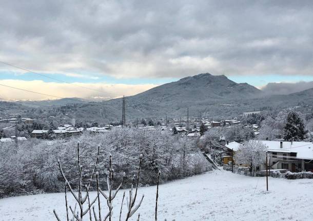 La neve dei lettori