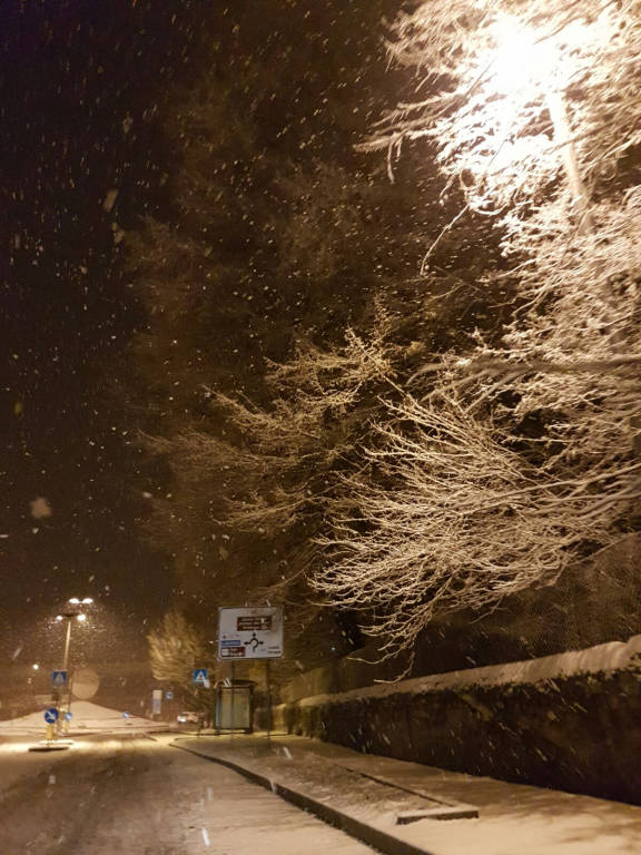 La nevicata del 12 gennaio