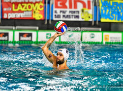 marko jelaca bpm sport management