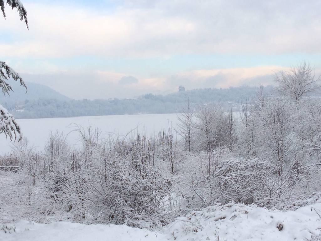 Neve 2017 - I lettori da whatsapp