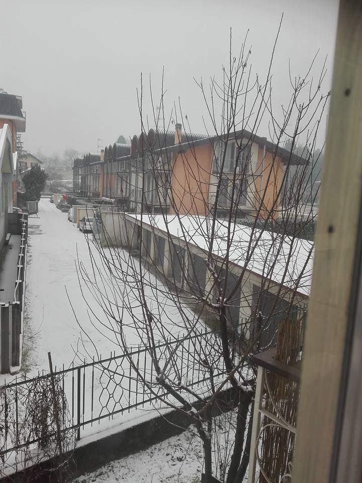 Nevicata 10 gennaio 2017