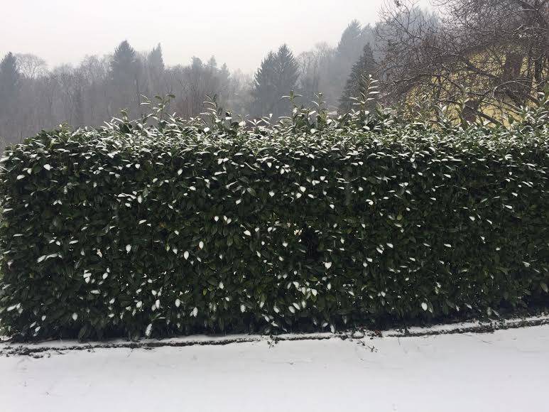 nevicata 