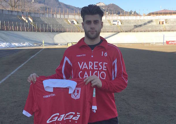 niccolò gucci varese calcio