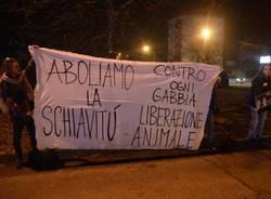 protesta animalisti contro circo
