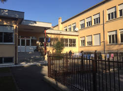 Sciarè generica