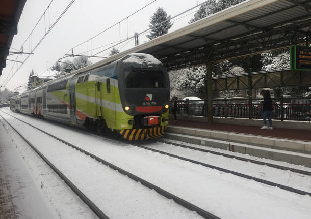 Trenord neve